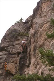 small_9608 3307 co utIMG0045.webp